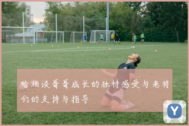 哈珀谈哥哥成长的独特感受与老将们的支持与指导